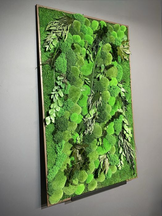 Панно з Моху. Декор з Мохом. Фітокартина зі Стабілізованим Мохом