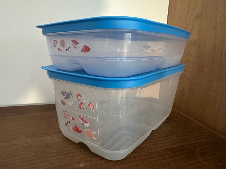 2 Caixas (1.8L + 4.4L) Peixe / Carne Tupperware