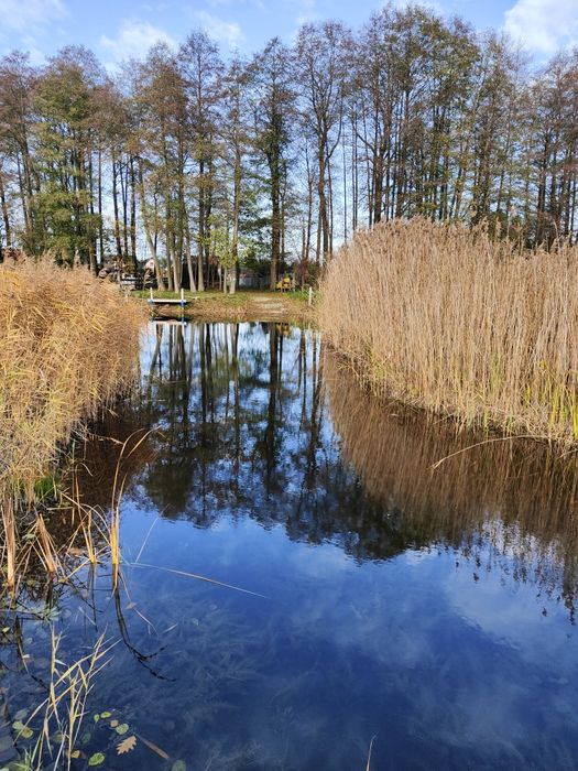 Wynajme domki dwuosobowe nad jeziorem Roś, wlasny port, slip, łodzie
