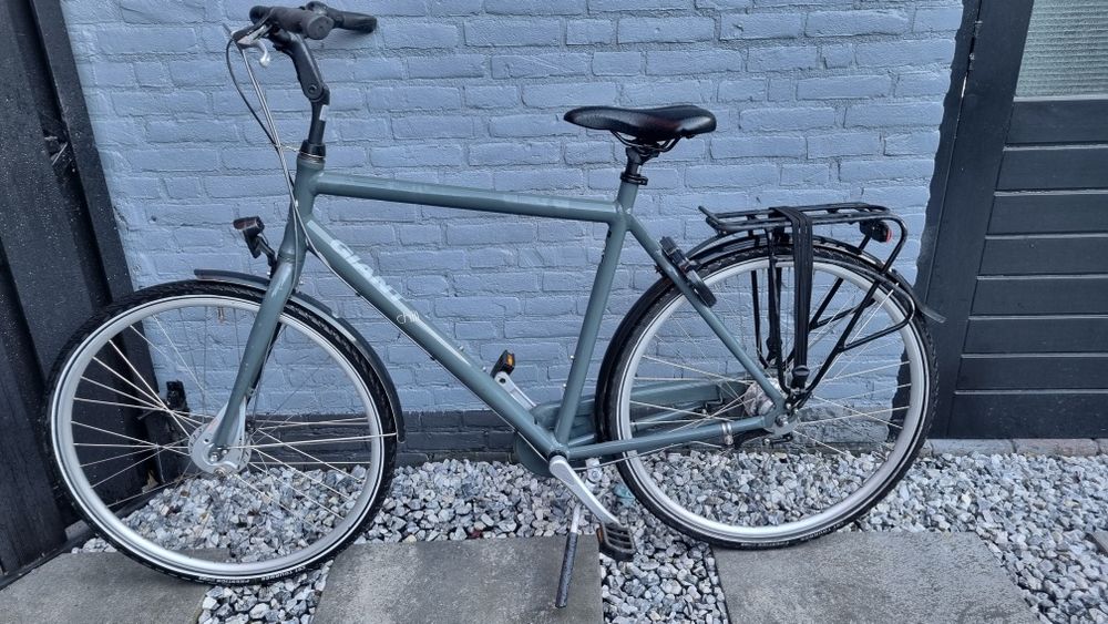 Giant  chill holenderski