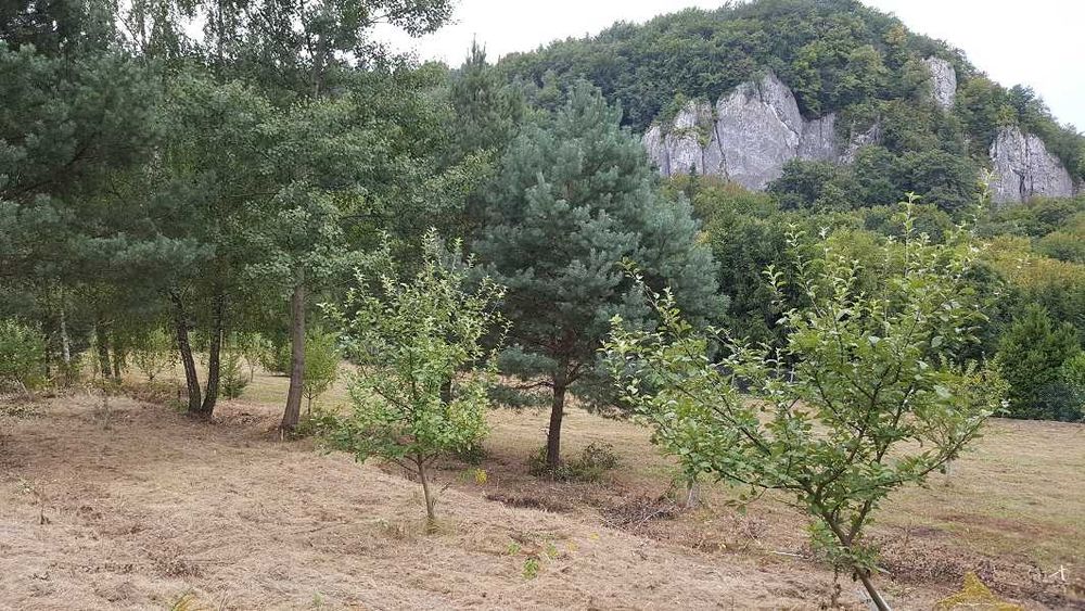Unikalna działka z Bajecznym widokiem Uroczy Kameralny domek Natura2000