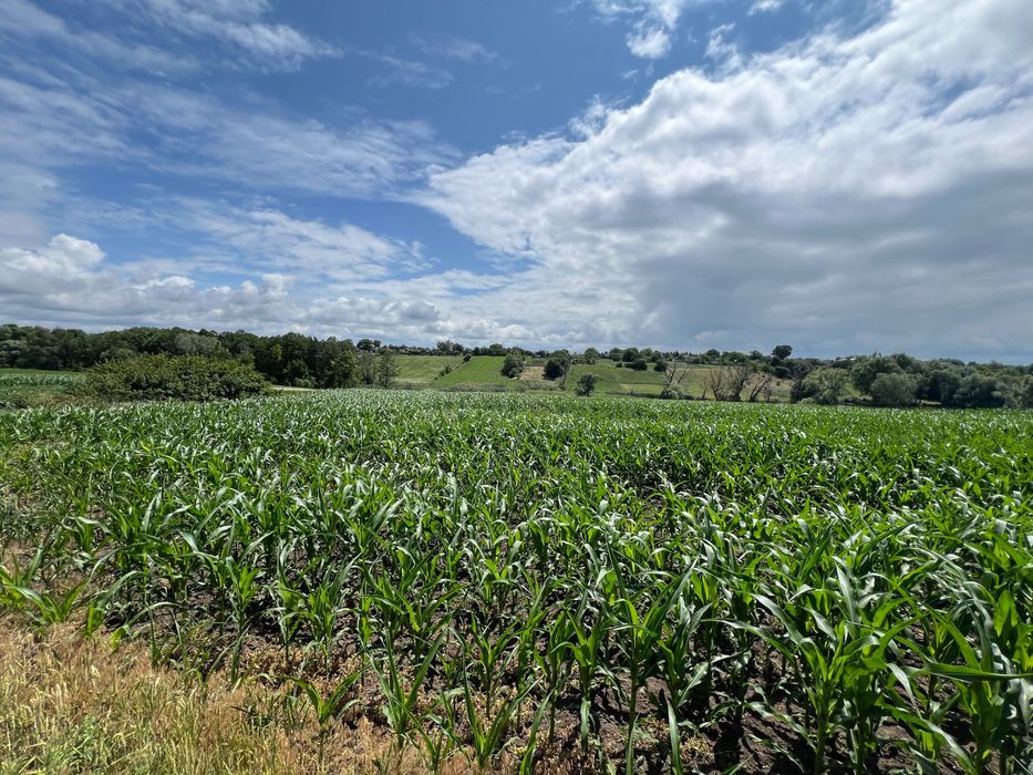 Будинок в Диканському район, с.Балясне, Полтавщина