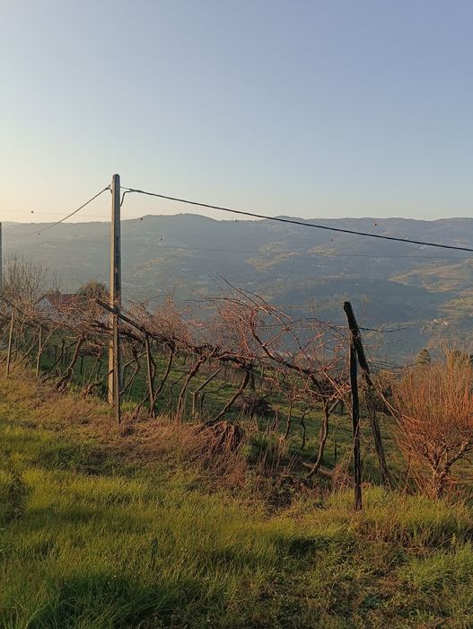 Alojamento local 6000 M2 com projeto resende