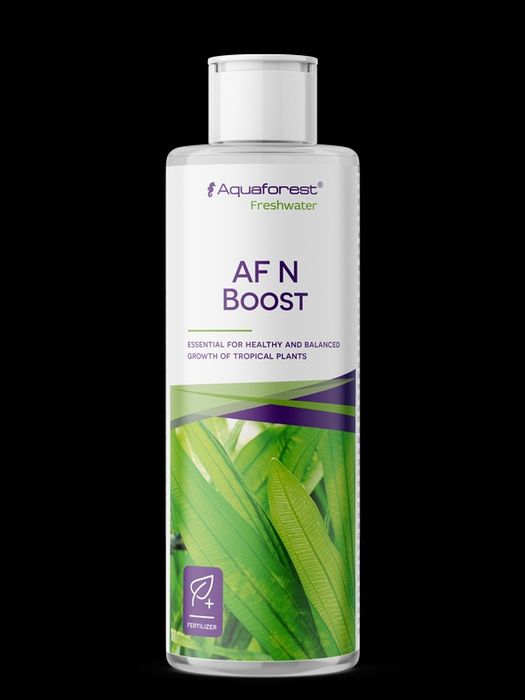 AF N Boost 125ml. MASSON