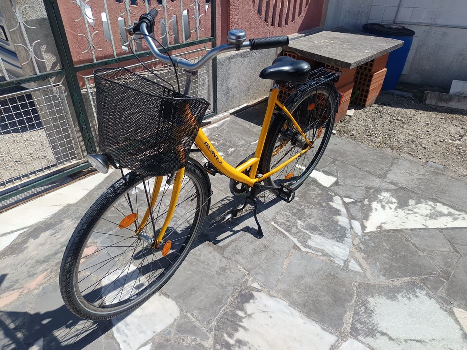 Bicicleta tipo pasteira64174047732227121