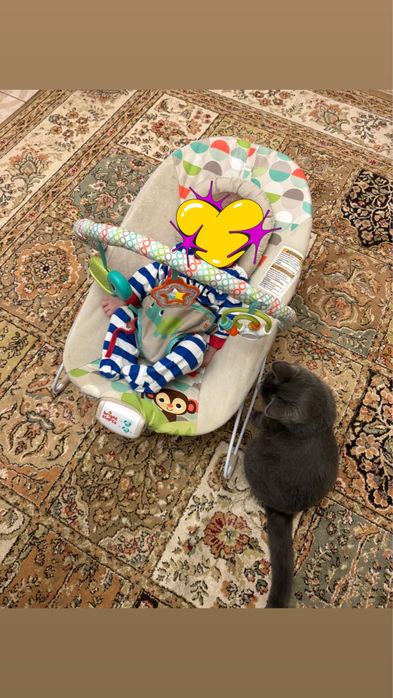 Шезлонг Bright Happy Safari Bouncer  дитячий музичний вібрація