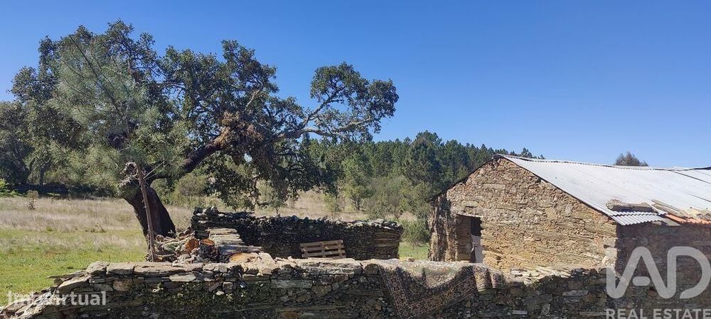 Quinta rural em Benquerenças