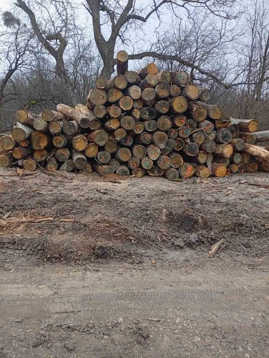 Дрова рубані сухий дуб