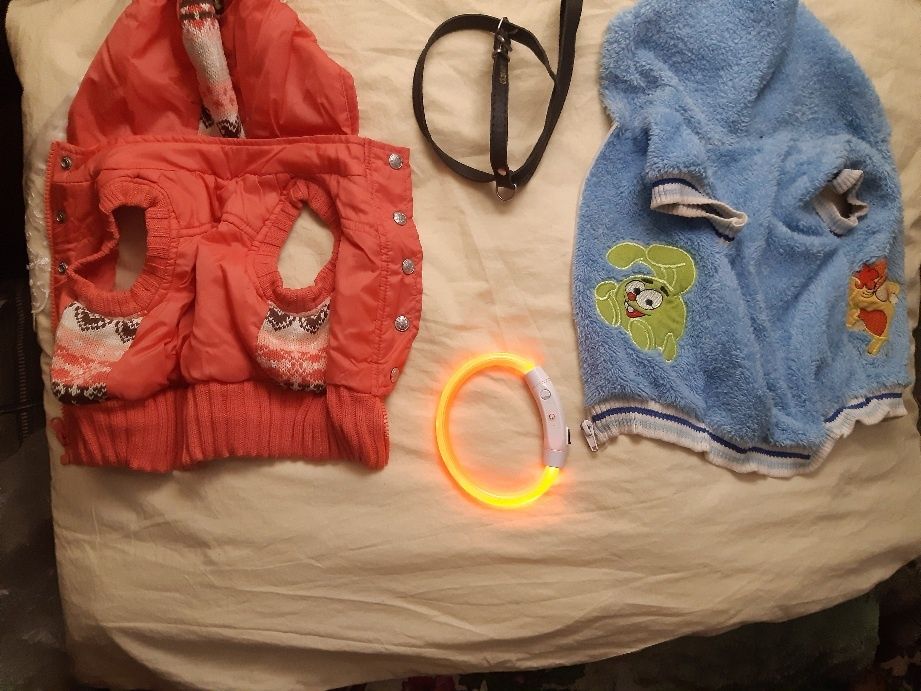 2 курточки для собаки (4-5кг). Шлея, ошейник