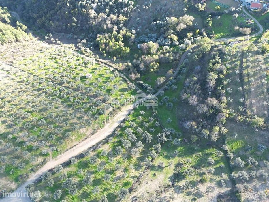Terreno Agrícola Grijó de Parada
