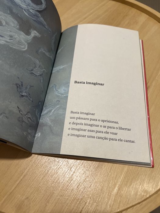 Livro “O Pássaro da Cabeça e mais versos para crianças”