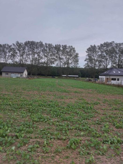 Działka Budowlana Świerzno 9km od  Morza .