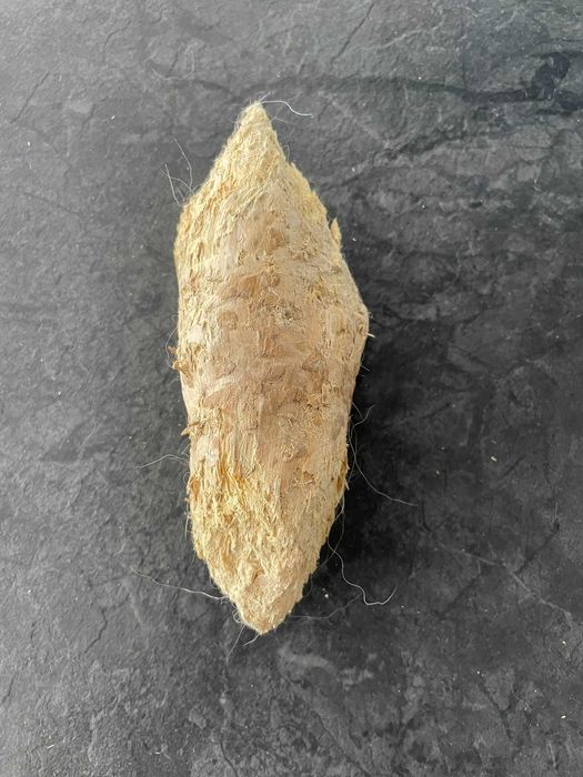 Twardy gryzak L dla psa naturalny patyk z drzewa kawowego Chewies M