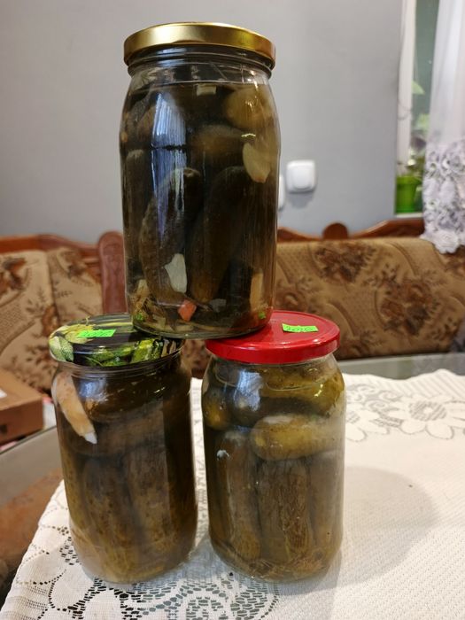 Ogórki kiszone tegoroczne