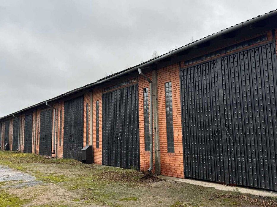 Оренда складських приміщень в м. Радехів.