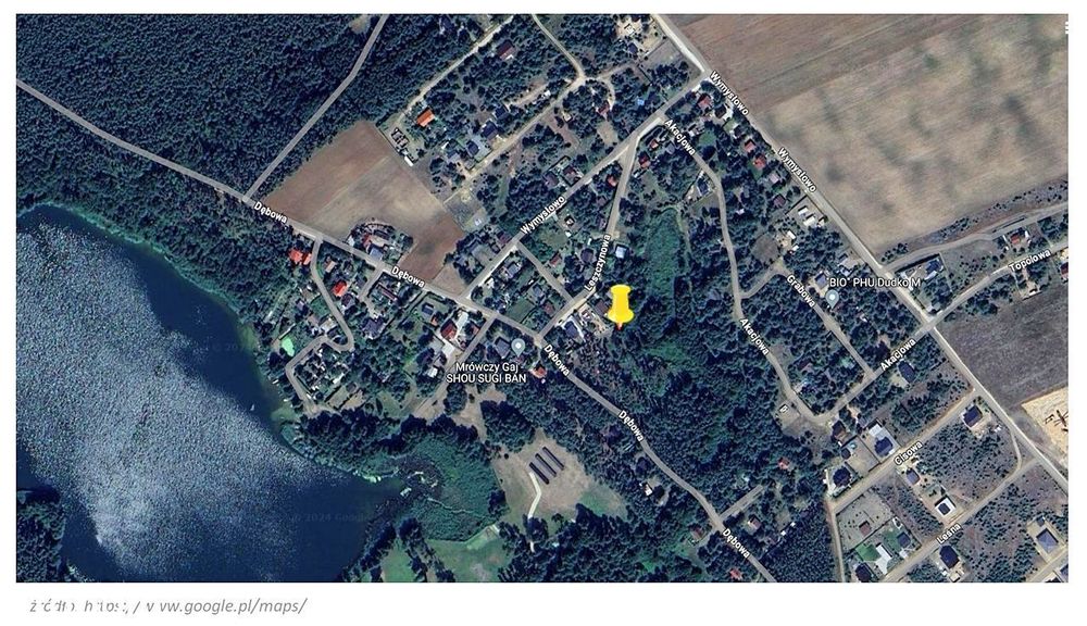 Otulona zielenią
