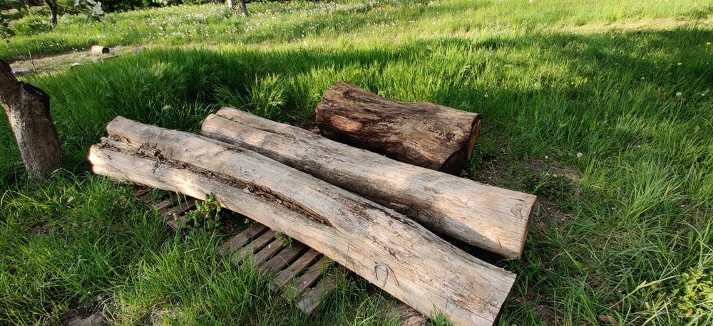 Akacja, dąb, pnie sezonowane, tartaczne