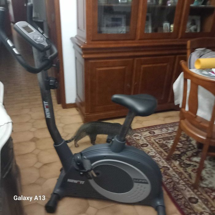 Bicicleta estática em bom estado