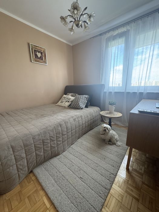 Bezposrednio !!mieszkanie  3 pokoje z balkonem i piwnica!