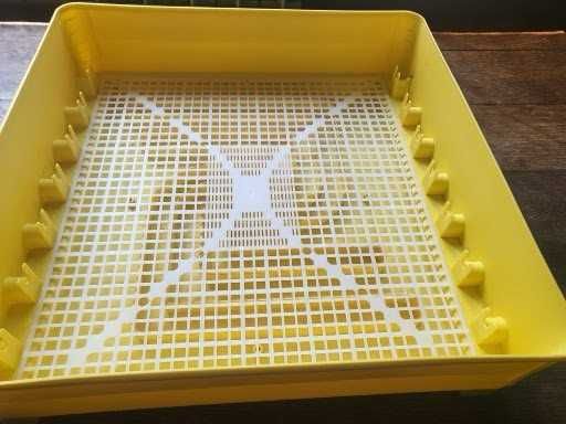 Inkubator do wylęgu jaj