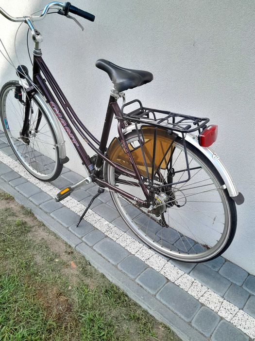 Rower holenderski giant damka