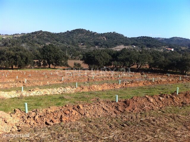 Herdade da Afeiteira