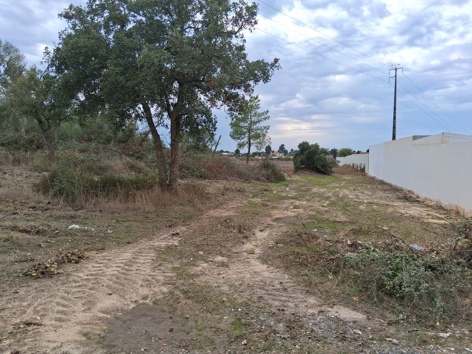 Terreno com 36.000m2