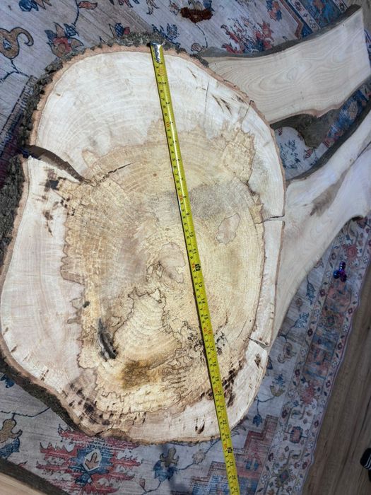 Sprzedam plaster jesiona