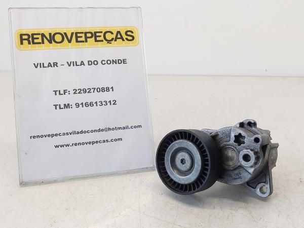 Tensor / esticador correia alternador MERCEDES-BENZ Classe M (W163)
