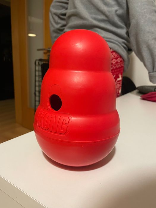 Conjunto de brinquedos Kong Puppy + Peitoral Nayeco + Trela Nayeco