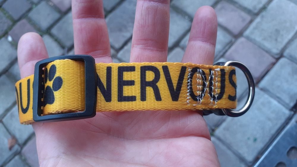 Желтый нейлоновый ошейник для собаки с надписью "NERVOUS" (Нервный) .