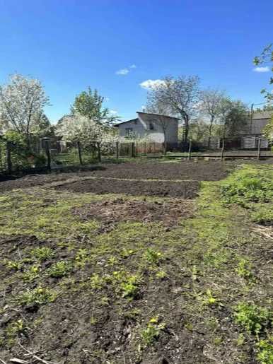 Продаж приватизованої ділянки с/т "Ветеран"