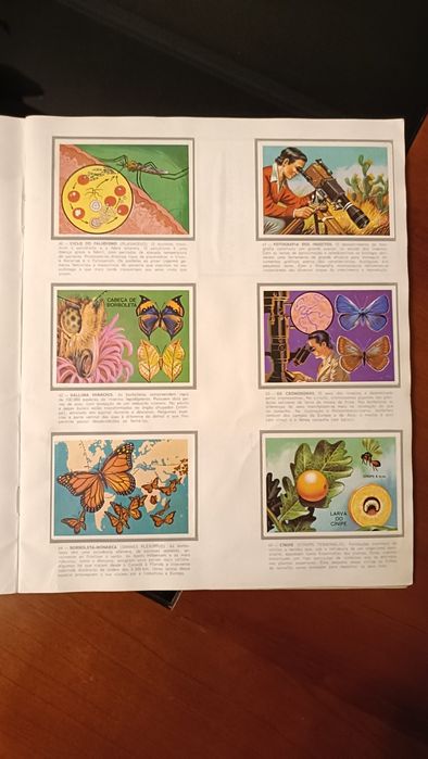 Cadernetas Panorama Zoológico completa