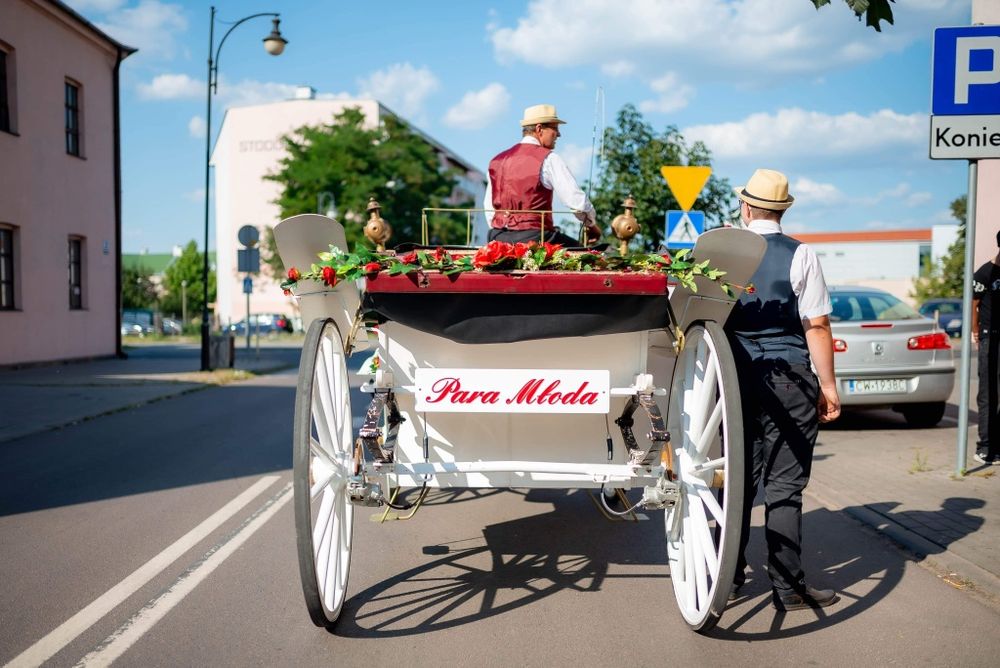 Karoca do ślubu  Powóz konny Bryczka.