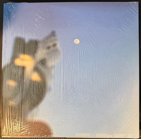 Getting Killed — Geese