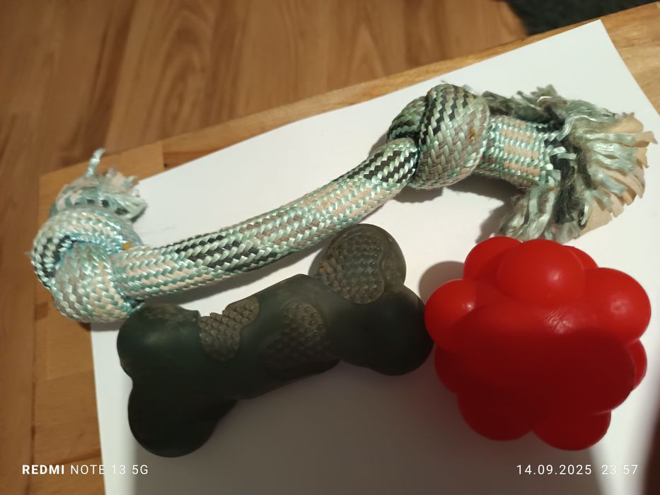 Zabawki dla szczeniąt