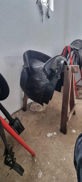 Sela á  portuguesa zaldi