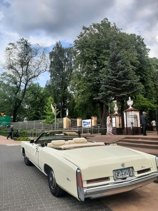 Auto na ślub, Auto retro do ślubu, samochód zabytkowy, Austin Princess
