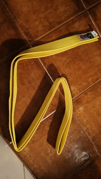 Kimono (Dobok) completo - Dae Do International - Taekwondo Ofici