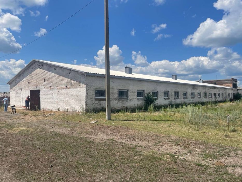 Продається тваринницький комплекс — с. Гельмязів, Черкаська обл.
