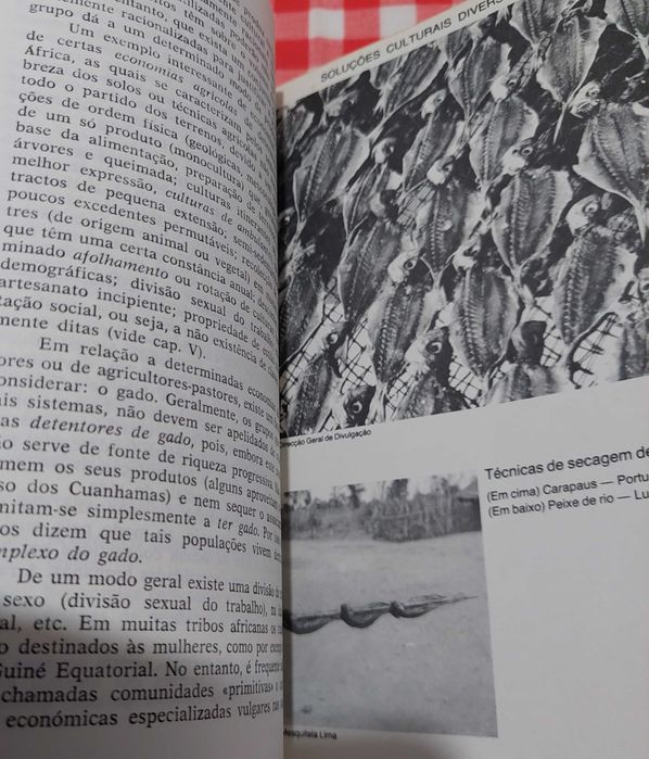 Introdução à antropologia cultural