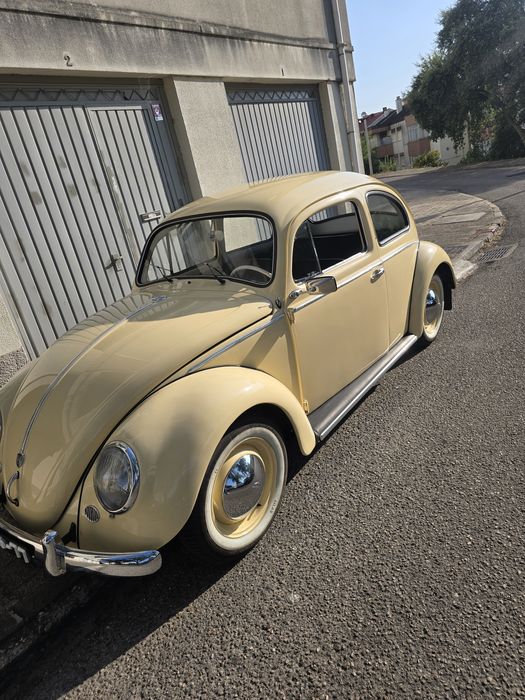 Carocha para eventos