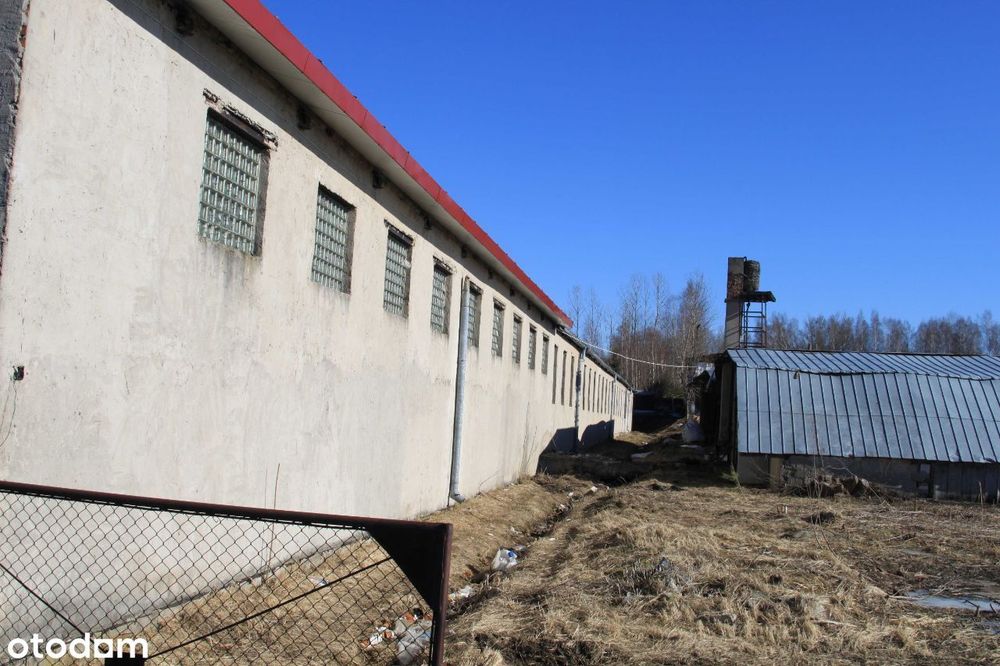 Działka inwestycyjna 8500m² z halą – usługi/rolna, dotacje - Widok 2