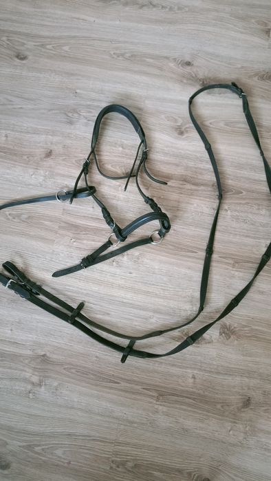 Kantar plus lejce