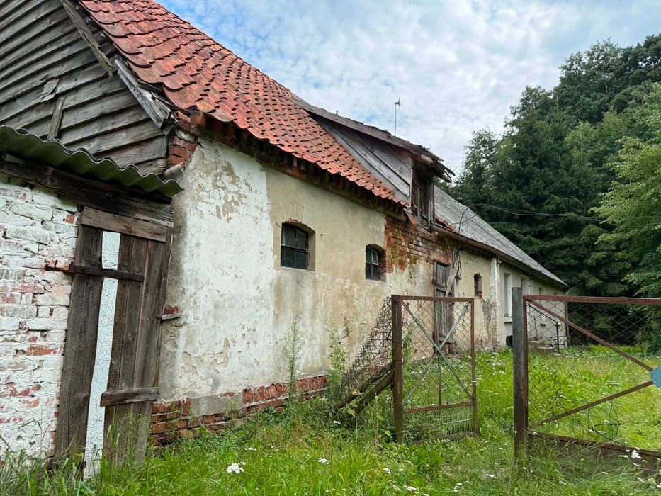 Dom – Jałowiec - Widok 2