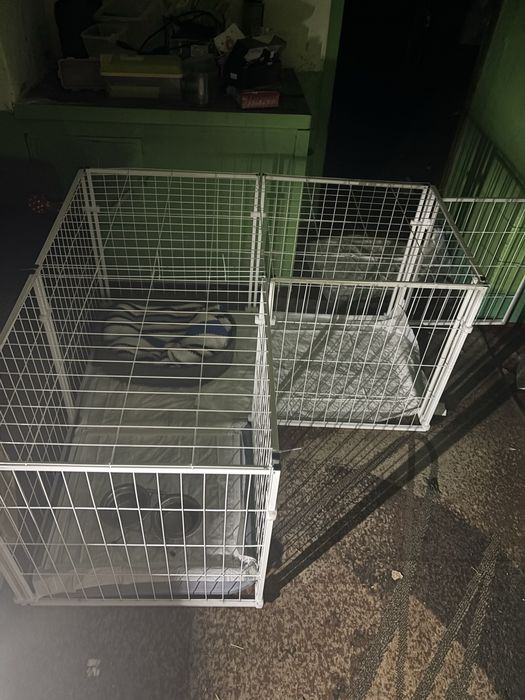 Вольєр для собак (металевий, розборний, міцний)