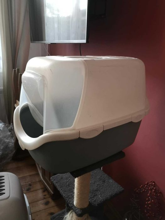 Kuweta kocia biało-szara