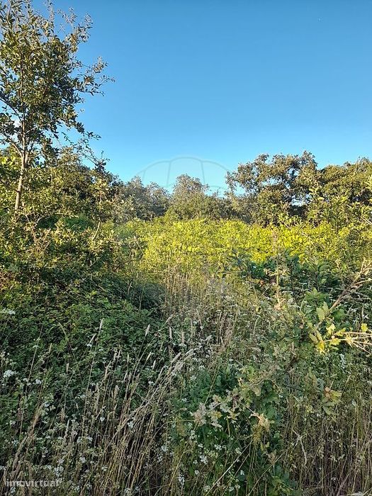 Terreno  para venda