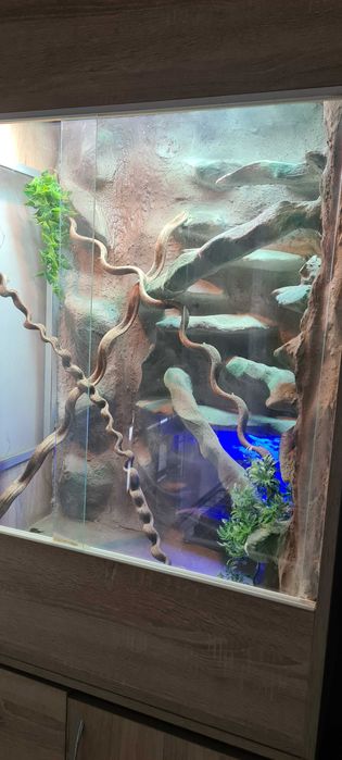 Terrarium dla kameleona