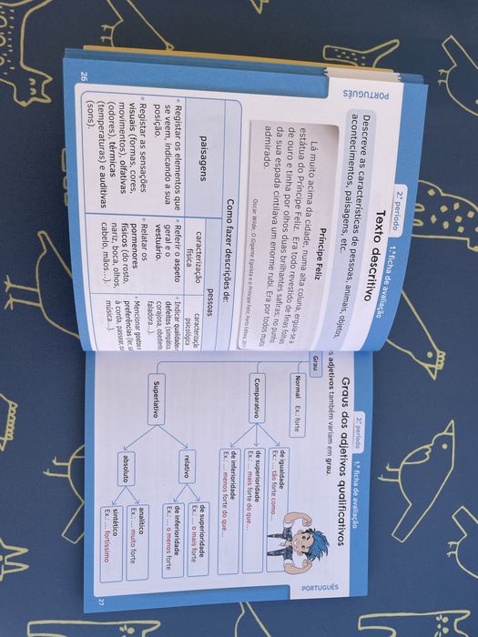 Fichas de Avaliacao TOP! 4 ano